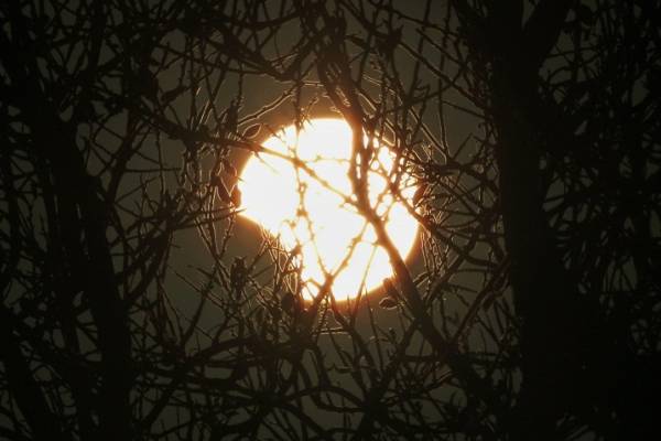Жители центральной России завтра увидят затмение Солнца
