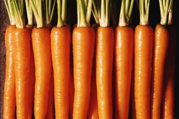 Морковка - отличный способ для профилактики болезней