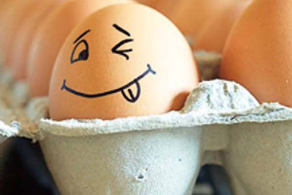 Яйца не влияют на уровень холестерина в крови