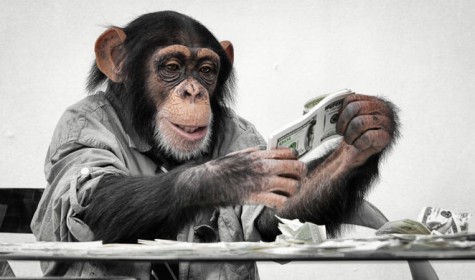Стало известно, чо обезьяны оказались экономнее людей