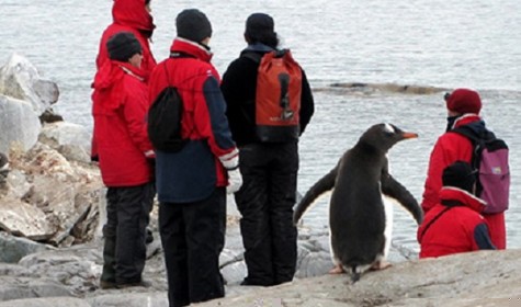 В Антарктиде открываются новые вакансии