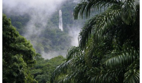 В джунглях Гондураса нашли следы неизвестной цивилизации
