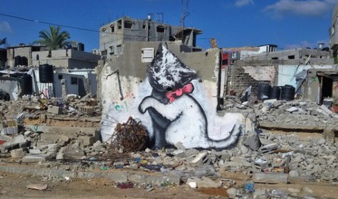 Бэнкси сделал граффити котика в секторе Газа