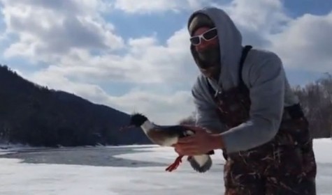 Рыбак вытащил из проруби утку, которая пряталась подо льдом