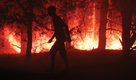 Ученые считают, что зомби-эпидемия будет распространяться как лесной пожар