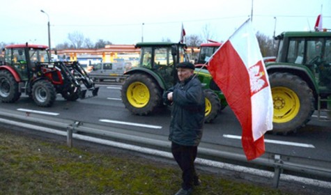 Фермеры из Польши требуют компенсации за действия кабанов и России