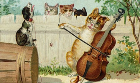 Создана первая в мире музыка, специально настроенная на слух кошек