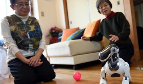 В Японии появилась новая традиция - хоронить роботов-собак
