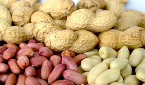 Выяснилось, как избавится от аллергии на арахис