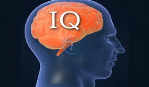 Ученые утверждают, что с каждым поколением уровень IQ становиться выше