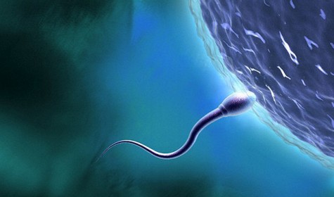 Эксперты рассказали о признаках хорошей и плохой спермы