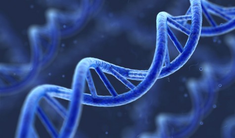Обнаружен ген, связанный с тревогой и шизофренией