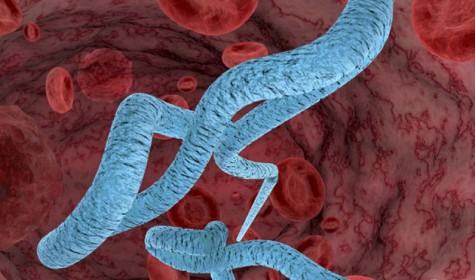 Разработаны полоски для быстрой диагностики лихорадки Эбола