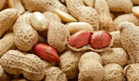 Обнаружена генетическая основа аллергии на арахис
