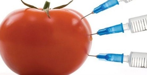 Эксперты установили, что ГМО-продукты приводят к развитию аутизма у детей
