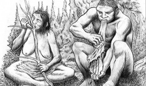 Выяснилось, что у неандертальцев было половое разделение труда