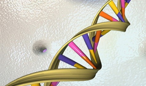 Специалисты предложили способ хранения данных на ДНК в течение миллионов лет