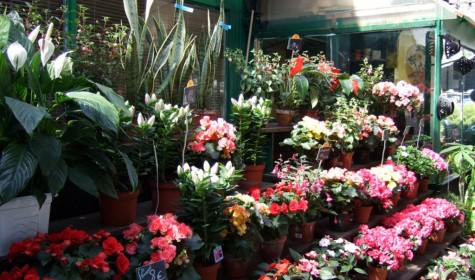 8 марта цены на цветочные букеты в Москве и России возросли до 50%