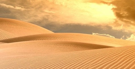 Ученые установили, что в пустыне Сахара увеличилась влажность